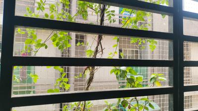 Balcony Image of 1116 Sq.ft 2 BHK Apartment / Flat for sale in Gopalanand Residency, Chandkheda Ahmedabad for Rs. 4999000