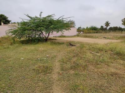 Annur Plot View 1