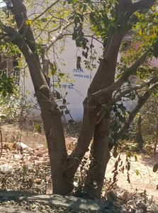 Asnani Laharpur Phase 2 Plot View 3