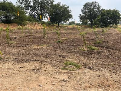 Residential Plot
