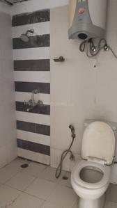 Image of 1100 Sq.ft 2 BHK Apartment / Flat for rent in Amrapali Eden Park, Sector 50, Noida for Rs. 32000