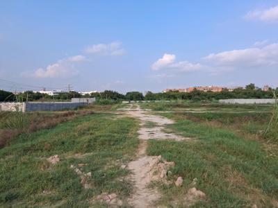 Image of 900 Sq.ft Residential Plot / Land for sale in Knowledge Park 2, Greater Noida for Rs. 4200000