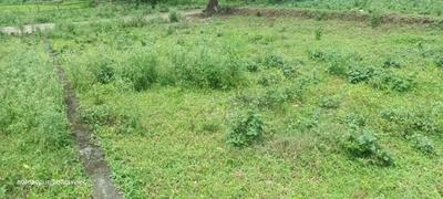 Image of 1373 Sq.ft Residential Plot / Land for sale in Vikasnagar, Dehradun for Rs. 270000