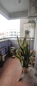 Balcony Image of 1455 Sq.ft 3 BHK Apartment / Flat for sale in SVS Windgates by SVS Constructions, Horamavu Bengaluru for Rs. 12050000