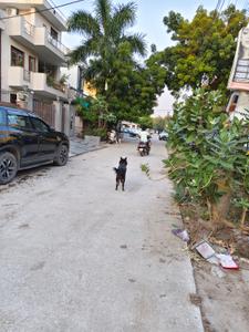 Image of 2900 Sq.ft Residential Plot / Land for sale in Sector 9, Gurgaon for Rs. 75500000