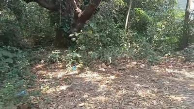 Image of 1078 Sq.ft Residential Plot / Land for sale in Siolim, Goa for Rs. 70000000
