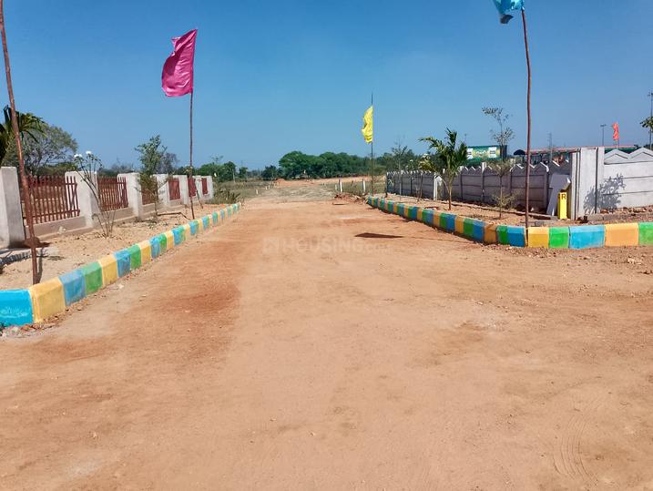 Golden terra Main Image 1