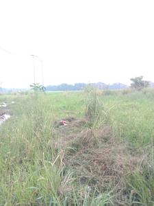 Image of 1100 Sq.ft Residential Plot / Land for sale in Sankharipota, Raypur for Rs. 700000