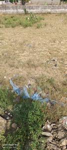 Image of 82 Sq.ft Residential Plot / Land for sale in Bad, Agra for Rs. 700000