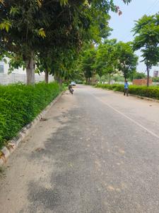 Experion The Westerlies Internal Roads 1
