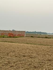 Ranipur Plot View 2
