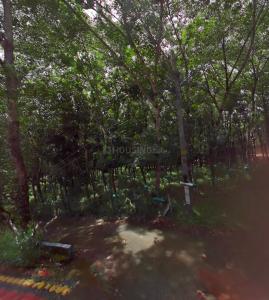 Image of 46173 Sq.ft Residential Plot / Land for sale in Adoor, Pathanamthitta for Rs. 15900000