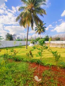 Image of 900 Sq.ft Residential Plot / Land for sale in Hoskote, Bengaluru for Rs. 5400000
