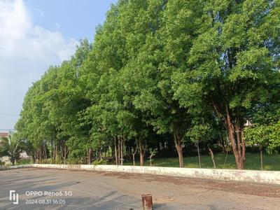 Image of 1130 Sq.ft Residential Plot / Land for sale in Kumhari, Bhilai for Rs. 1808000