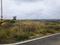 Bommasandra Industrial Area, Bommasandra Plot View 2