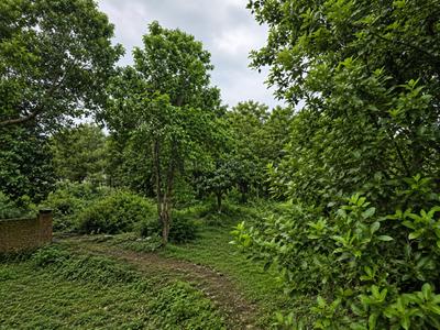 Image of 117 Sq.ft Residential Plot / Land for sale in Sahastradhara Road, Dehradun for Rs. 5300000