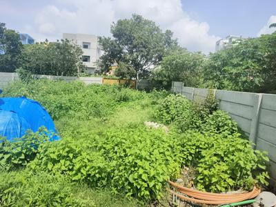 Residential Plot