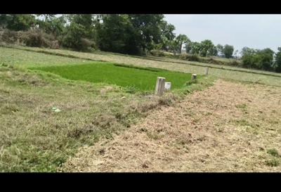 Image of 1600 Sq.ft Residential Plot / Land for sale in Naubatpur, Patna for Rs. 2600000