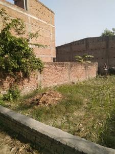 Block D Plot View 2