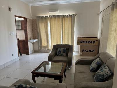 Hall Image of 1200 Sq.ft 1 BHK Builder Floor for rent in Sector 59 Mohali for Rs. 20000