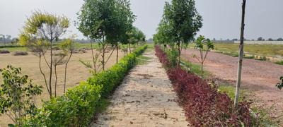 Image of 900 Sq.ft Residential Plot / Land for sale in Barsana, Mathura for Rs. 900000