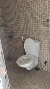 Image of 1750 Sq.ft 3 BHK Apartment / Flat for rent in Paras Tierea, Sector 137, Noida for Rs. 30000