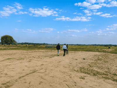 Sithauli Kala Plot View 2
