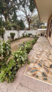 Image of 4500 Sq.ft 4 BHK Independent House for rent in Sector-6, Bahadurgarh for Rs. 32000