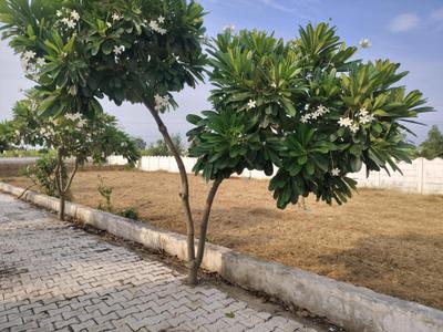 Image of 445 Sq.ft Residential Plot / Land for sale in Del NCR Aerocity Jewar, Shahpur Kala, Greater Noida for Rs. 1160100