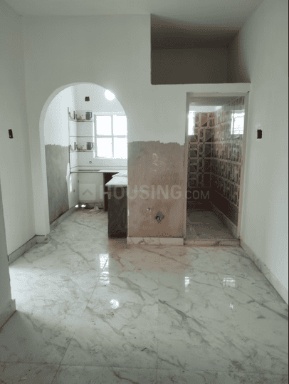 Bengal Ambition Main Image 1