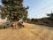 Shree Balaji Green City Plot View 2
