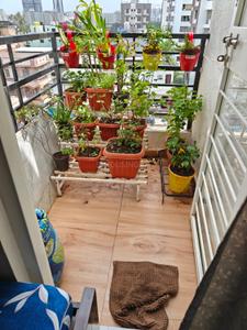 Balcony Image of 985 Sq.ft 2 BHK Apartment / Flat for rent in Ace Abode Phase 2 A, Kiwale Pune for Rs. 24000