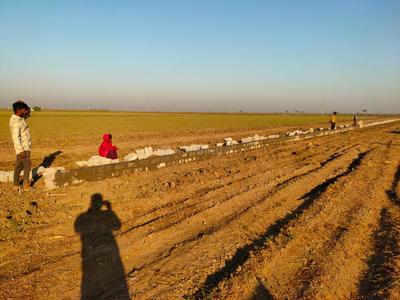 Image of 1170 Sq.ft Residential Plot / Land for sale in Dholera, Ahmedabad for Rs. 1263600
