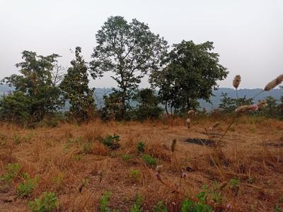 Image of 1089 Sq.ft Residential Plot / Land for sale in Pen, Raigad for Rs. 220000