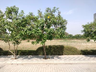 Image of 150 Sq.ft Residential Plot / Land for sale in Mansha Oaks, Sector 98, Faridabad for Rs. 15200000