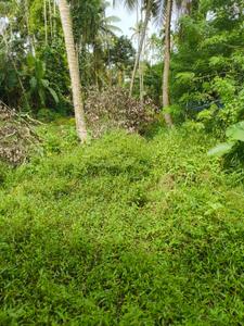 Image of 1210 Sq.ft Residential Plot / Land for sale in Chungam, Alappuzha for Rs. 11500000