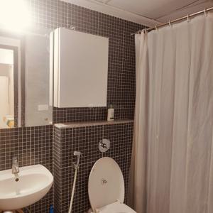 Bathroom Image of 756 Sq.ft 2 BHK Apartment / Flat for rent in Lodha Palava Downtown, Palava Phase 2 Thane for Rs. 25000