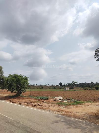 Shri Krishna Oasis Main Image 1