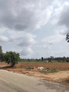 Shri Krishna Oasis Plot View 3