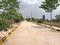 Hampton Palms Internal Roads 2