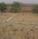 Pushpak Nagar Plot View 2