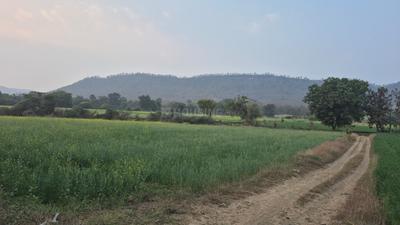 Image of 5000 Sq.ft 1 RK Farm House for sale in Homeland IIT Town Simrol, Simrol, Indore for Rs. 1500000
