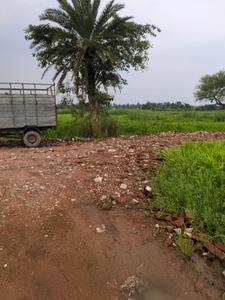 Wander Valley Internal Roads 2