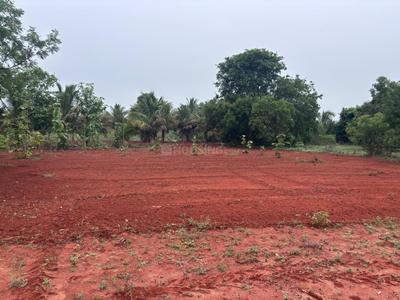 Alagar Kovil Plot View 2