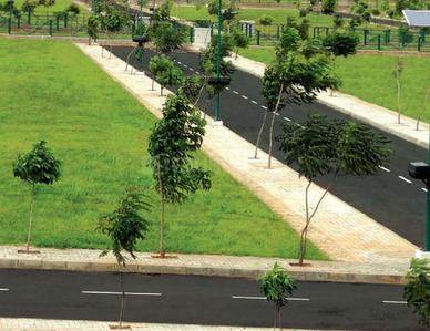 Image of 9000 Sq.ft Residential Plot / Land for sale in Thol, Ahmedabad for Rs. 20000000