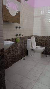 Bathroom Image of 1100 Sq.ft 1 BHK Builder Floor for rent in Sector 46 Gurgaon for Rs. 27500