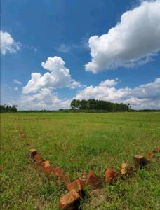 Image of 900 Sq.ft Residential Plot / Land for sale in Dharatal Shakumbhari Estate, Wazeedpur, Saharanpur for Rs. 900000