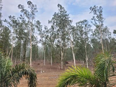 Image of 1000 Sq.ft Residential Plot / Land for sale in Aranya City Of Woodland, Pacheda 1, Raipur for Rs. 1000000