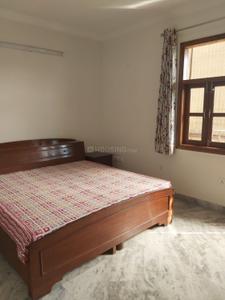 Bedroom Image of 900 Sq.ft 2 BHK Apartment / Flat for rent in Malviya Nagar New Delhi for Rs. 50000