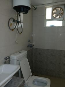 Common Bathroom Image of 750 Sq.ft 3 BHK Apartment / Flat for sale in ROF Aalayas Phase 2, Sector 102 Gurgaon for Rs. 8000000